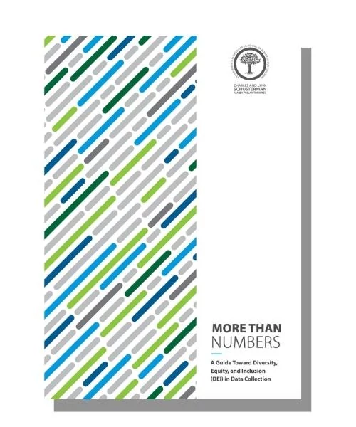 More Than Number DEI Guide cover