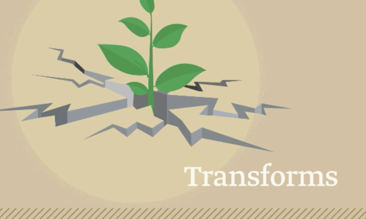Transforms, competencies. plant breaking through concrete